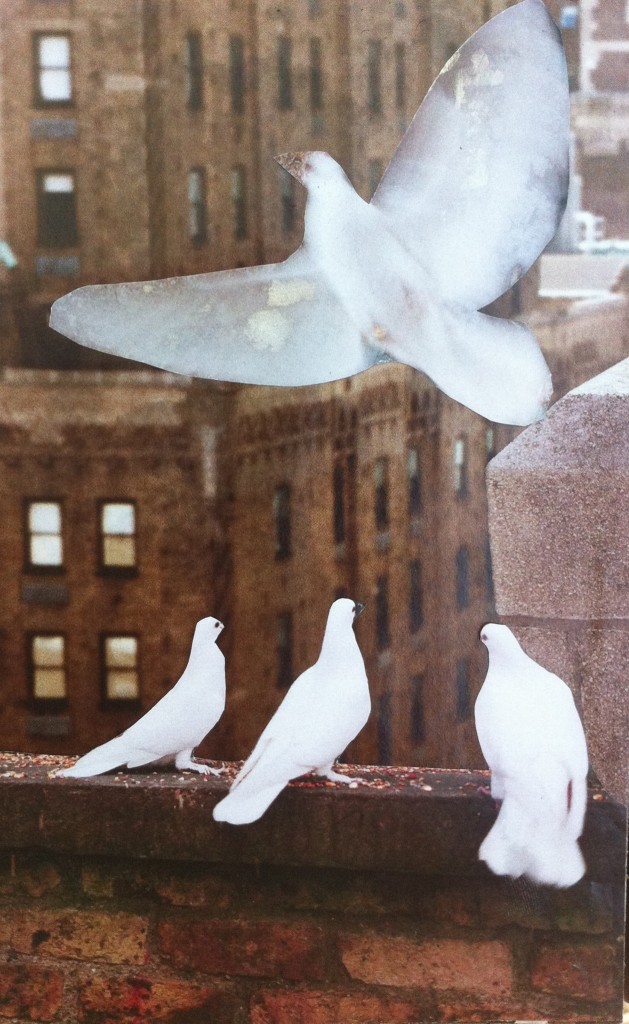 go play project, 30 days of collage, creativity challenge, saving all the animals, pigeons, Holly Gonzalez